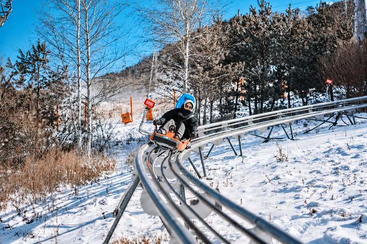 Alpensia 雪地过山车沿雪坡轨道滑行